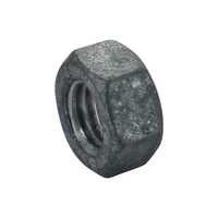 Hex Nut M10 Galvanised