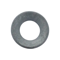 Cone Type Washer M20 Galvanised 