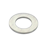 Flat Washer M12 Stainless Steel Grade 304