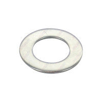 Flat Washer M20 Stainless Steel Grade 304